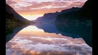 In The Woods... - Pigeon