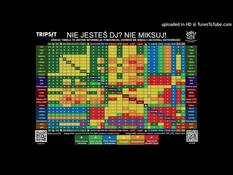 MŁODY BAZA X TONCIU - WPRDLLLEMY SIE﻿