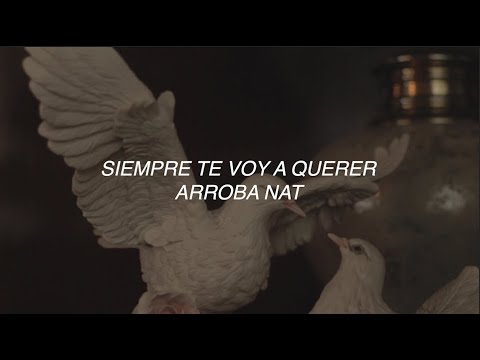 Arroba Nat - Siempre Te Voy A Querer (Vídeo Oficial + Lyrics)