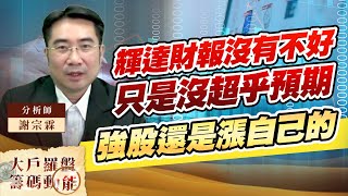 輝達財報沒有不好 只是沒超乎預期 強股還是漲自己的 (圖)