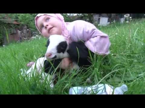 LIJEK PROTIV DOSADE - TRAJLER FILMA