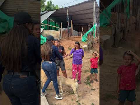 🛣️En la vereda el Líbano se entrega un nuevo tramo de placa huella.  #durania