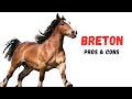 Breton Horse Pros and Cons -  Breton Horse Advantages and Disadvantages