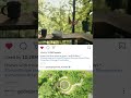 Godrej Five Gardens Matunga Mumbai Shorts Youtubeshorts Shortsvideo