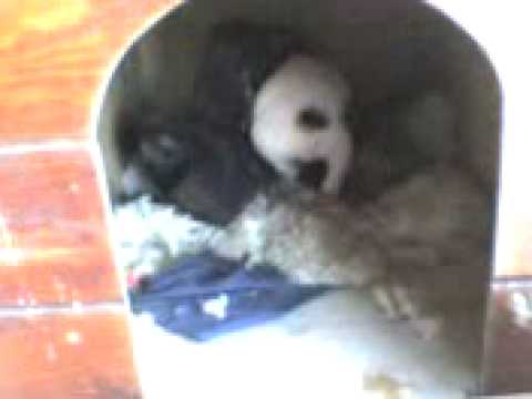 Mi Albita Bella jskajakjs!