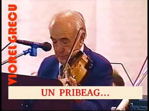 🎤🎻Viorel Grecu AUDIO (1998) - Un pribeag
