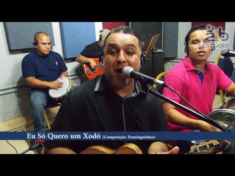 Estudio 2SB - Pagode dos Amigos - Forrozinho (Medley)