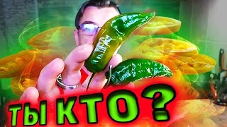 А сегодня мне нужна помощь Едоков. Столкнулся с тем, что не знаю имя этого острого девайса и мне нужна ваша помощь Крестьяне.
Он зелёный, но острее нежели холопеньо, но зеленый как холопеньо, но если он зеленый, это вовсем не значит,