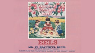 Eels - Mr. E's Beautiful Blues (Karaoke version)