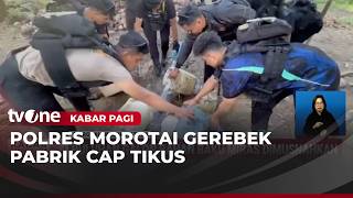 Polres Morotai Gerebek Tempat Produksi Miras | Kabar Pagi
