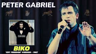 Peter Gabriel - Biko LIVE (Curtains - 1990)