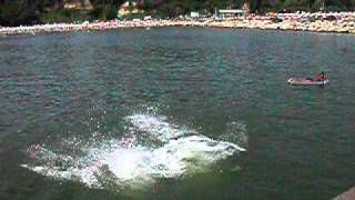 Дельфины в Черном море...!!!