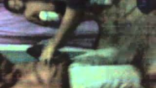 Aficionados a youtube