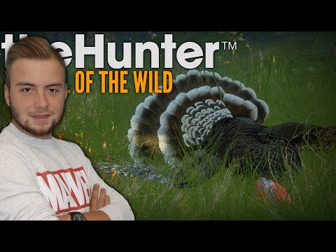 UPOLOWAŁEM INDYKA NA OBIAD! 👣 THE HUNTER: CALL OF THE WILD ✔ POLOWANIE NA PIĘKNYCH WZGÓRZACH ☆ MST