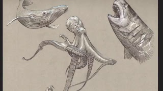 Insanlar - Kime Ne (Ricardo Villalobos Mix 1)