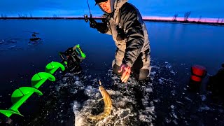 FIRST ICE WALLEYES 🇺🇸 Flashbite Up Shallow (6ft)