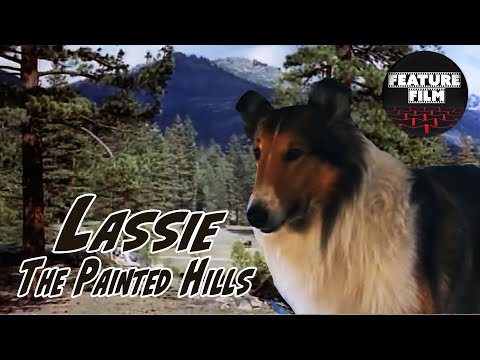 Lassie: The Painted Hills (1951) | Family Movie | Full Lenght | For Free | Classic Lassie Series