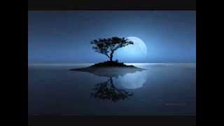 Amarte es un placer - Luis Miguel - (Lyrics) - hg