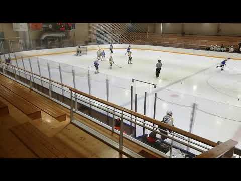 Kiekko-Ahmat - Pngviinit U14 AA