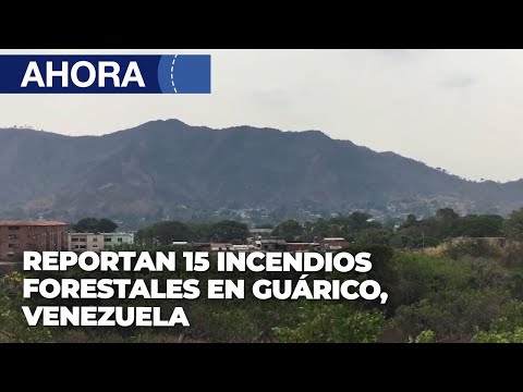 Reportan 15 incendios forestales en Guárico - 29Mar