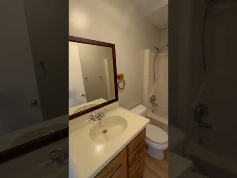 Courtyard Apartments | 1004 Salisbury Street Apt 4-B property video