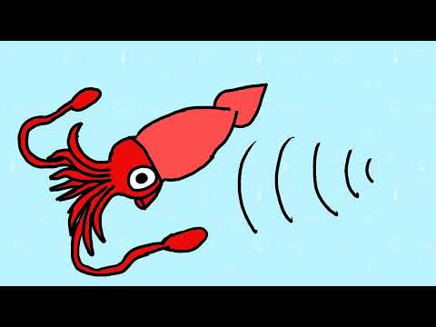 Colossal Squid vs Sperm Whale