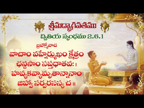 Śrīmad-Bhāgavatam (Bhāgavata Purāṇa) 2.6.1 | by HG Hari Kshetra Prabhu | 07 October 2022