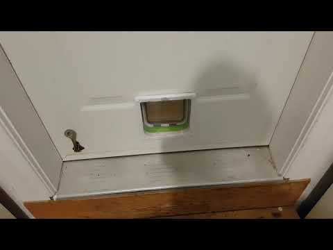 Stop cat from bringing home gift mice/rats.  One way out cat door with extra flap to stop smart cats