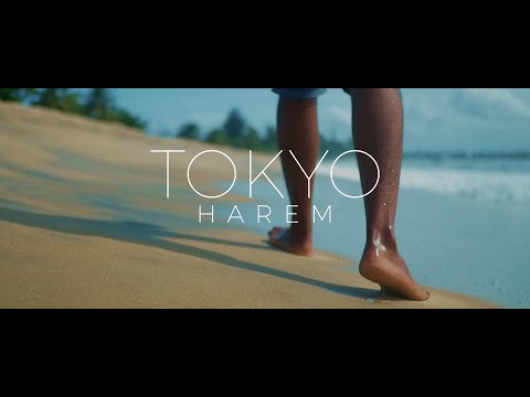 Tokyo Harem - Viloma (Official Lyrics VIDEO )