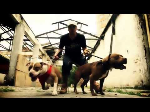 IYhon Secuaz Ft Afaz Natural & Jam N Studio Los Sabuesos Video Oficial