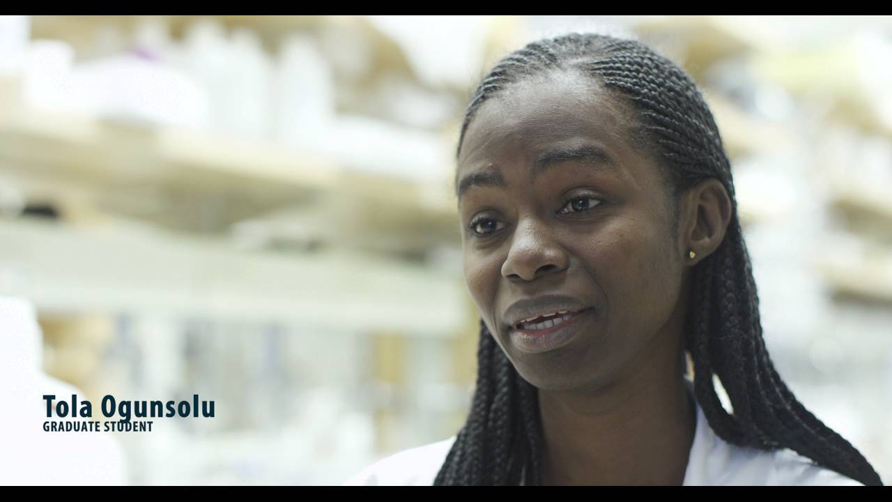 Materials Science and Engineering Graduate Program