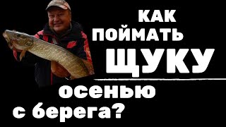 Ссылка