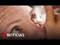 Las gotas que pueden cambiar la vida de millones de personas | Noticias Telemundo