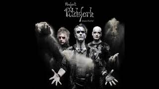 Project Pitchfork - Despise