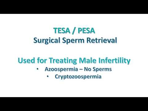 TESA - PESA | Surgical Sperm Retrieval | Indore Infertility Clinic