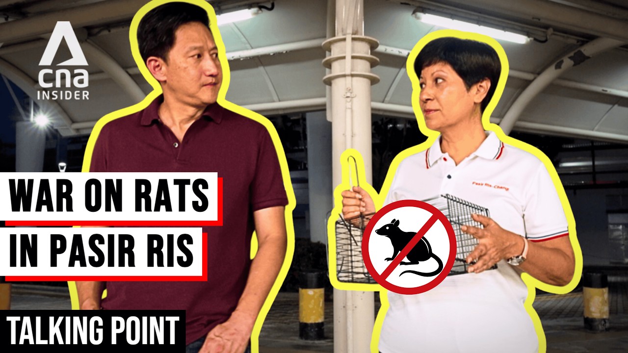 Why Can't We Get Rid Of Rats In Singapore? | Talking Point | War On Rats - Part 1/2