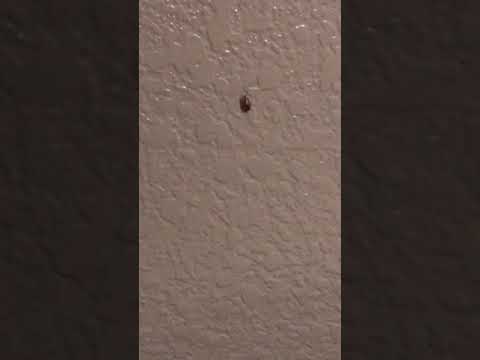 Studio 6 - Complaint