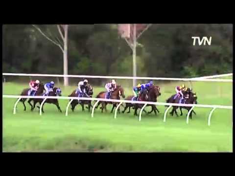 Watch Appearance (Commands) win the G1 Queen Of The Turf Stakes at Rosehill, Australia, 2013
