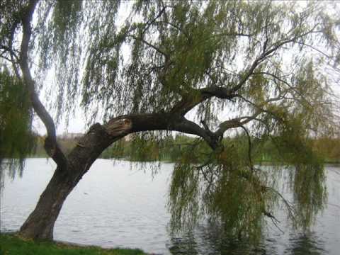 Ready To Cry cover