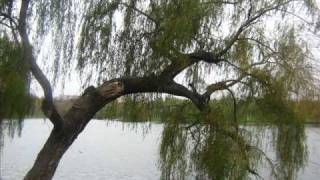 Ashes You Leave - Ready to Cry