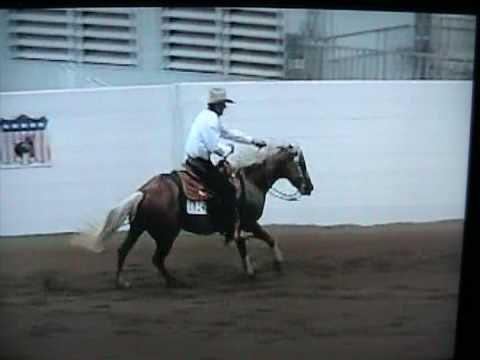 First go NRHA Congress Futurity 2005