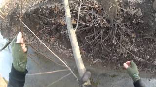 Нахлыстовый набор scientific anglers panfish fly fishing kit