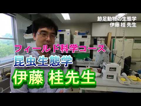 【フィールド科学コース】教員紹介（昆虫生態学・伊藤先生）