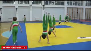 В Чечне открылась третья по счету гимнастическая школа «Ак-Барс» 