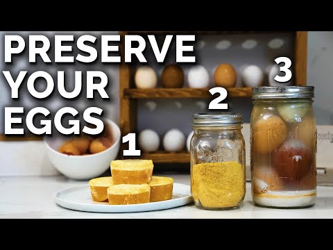 3 Ways to Save Fresh Eggs!