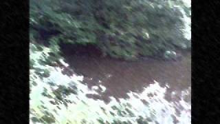 CameraObscura -Suspended From Class