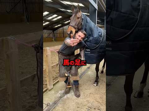 馬の足にあるブヨブヨの正体