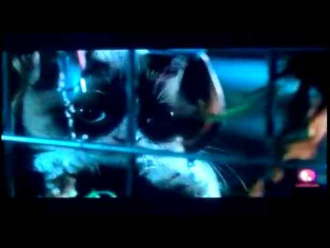 Grumpy cats worst Christmas