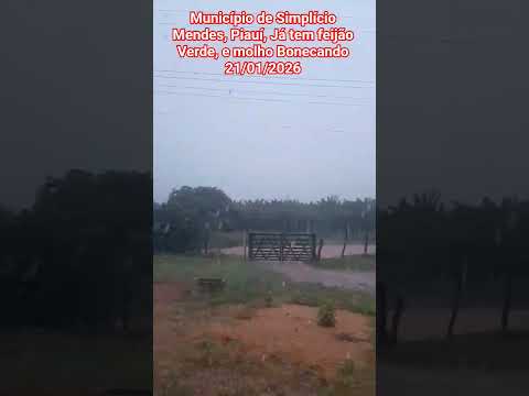 🇧🇷 SIMPLÍCIO MENDES, PIAUÍ 21/01/2026 #chuvas #obra #turismo #agricultura #lotes