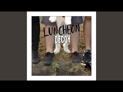 Decoy - Luncheon